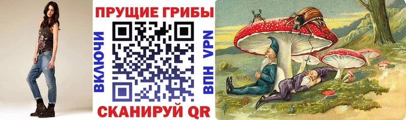 Псилоцибиновые грибы MAGIC MUSHROOMS  Купить где  Почеп 