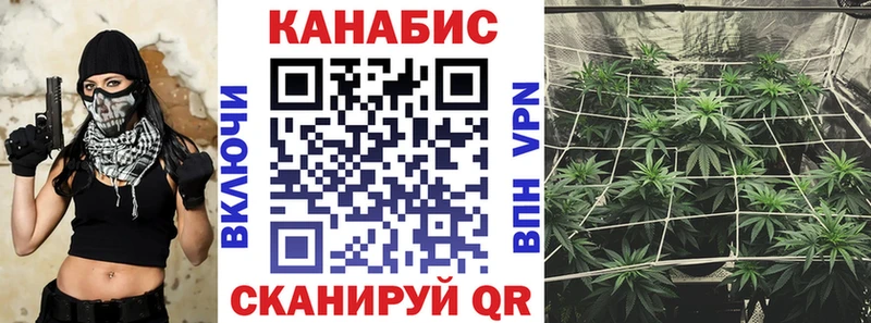 Купить закладки  Почеп  Бошки Шишки Amnesia 